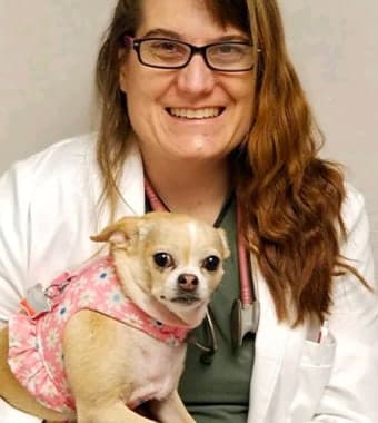 Dr. Erin Zimowske Dr. Erin Zimowske