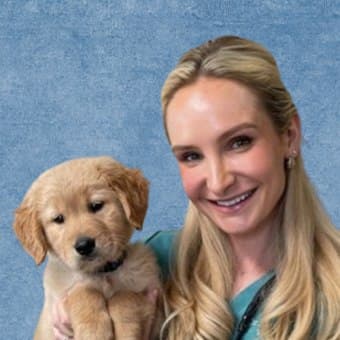 Dr. Arielle Garzotto Dr. Arielle Garzotto