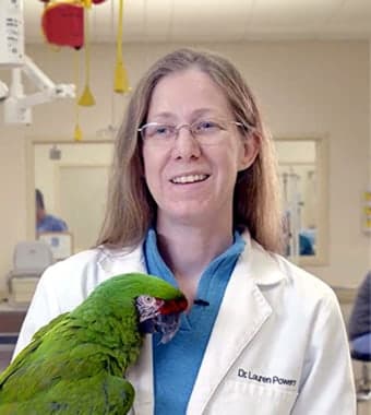 Lauren PowersAvian & Exotics Lauren PowersAvian & Exotics