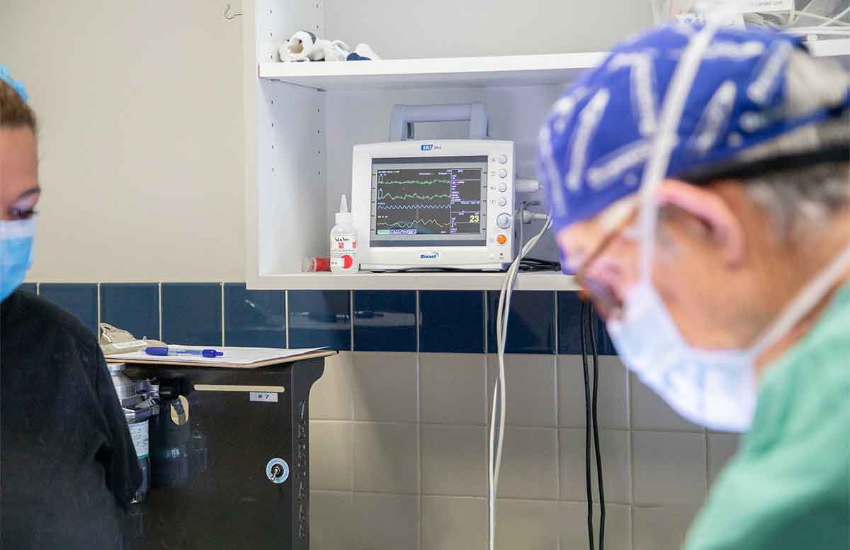 thomasville-veterinary-hospital-banner-3 thomasville-veterinary-hospital-banner-3