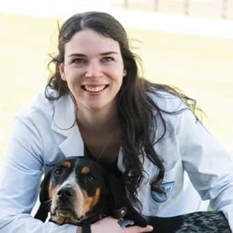 Dr. Sofia Santacaterina Dr. Sofia Santacaterina