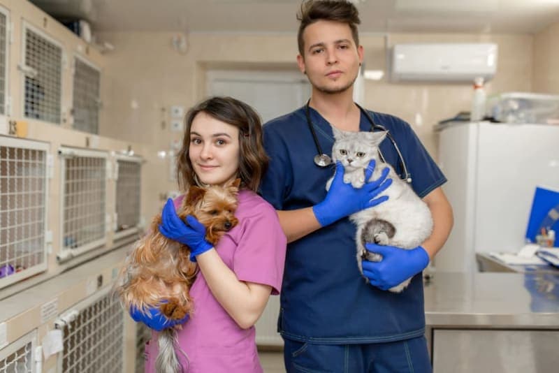 Types of Diagnostic Tests for Pets Types of Diagnostic Tests for Pets