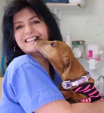 Dr. Susan Pasagic Dr. Susan Pasagic