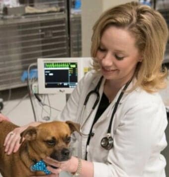 Dr. Thames Dr. Thames