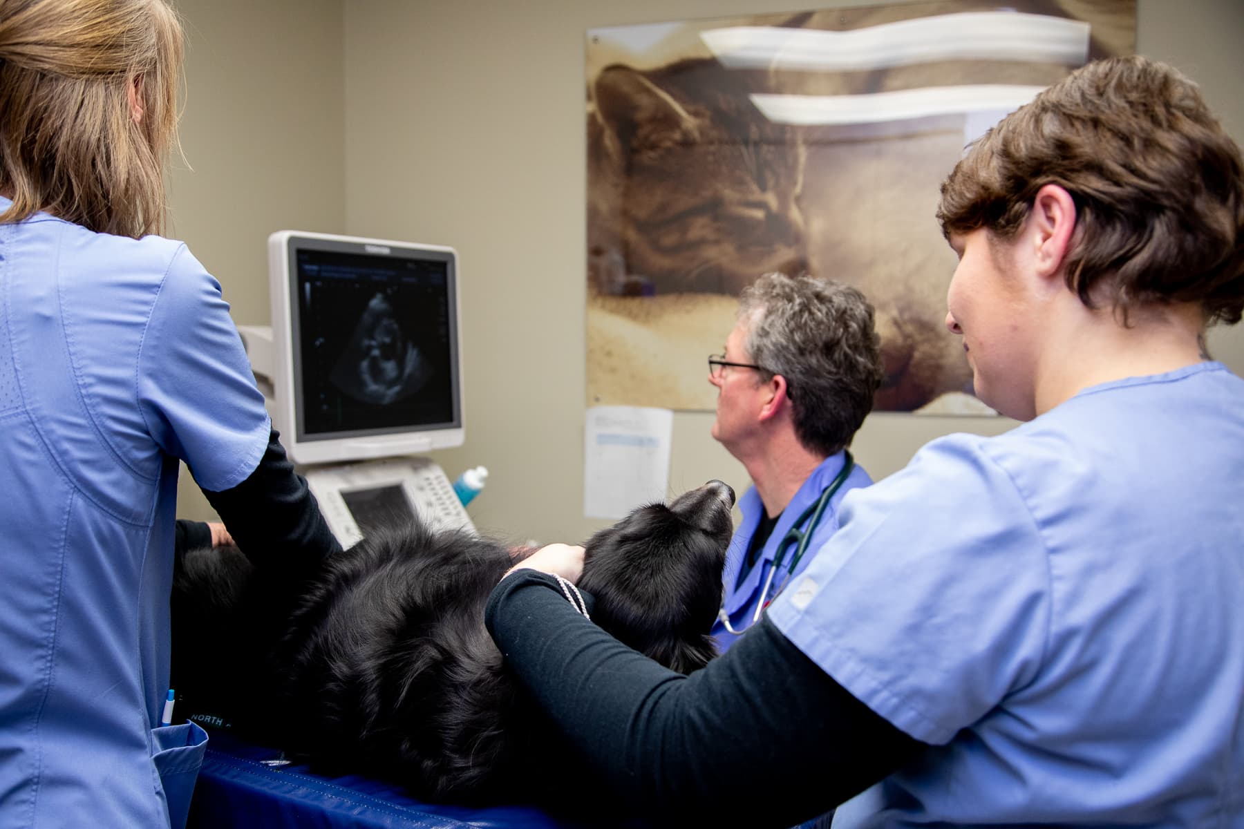 Critical Care Image Critical Care Image