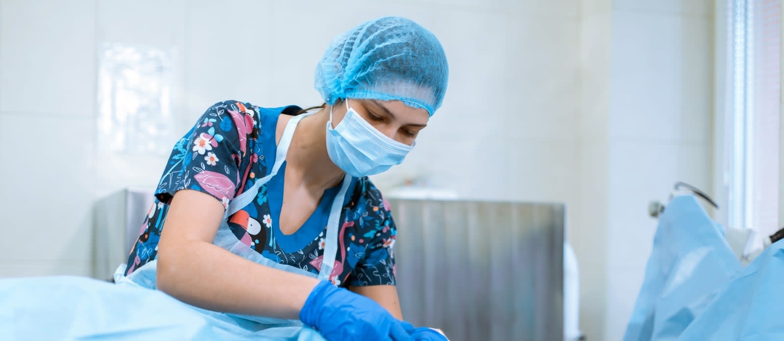 The Regional Veterinary Referral Center Hero Image The Regional Veterinary Referral Center Hero Image