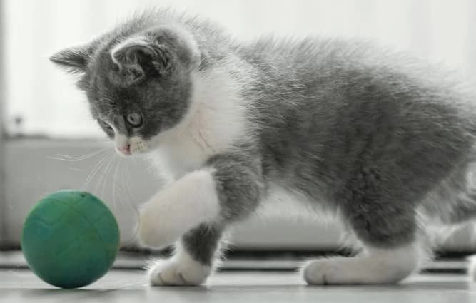 Sabrina C. Sabrina C.