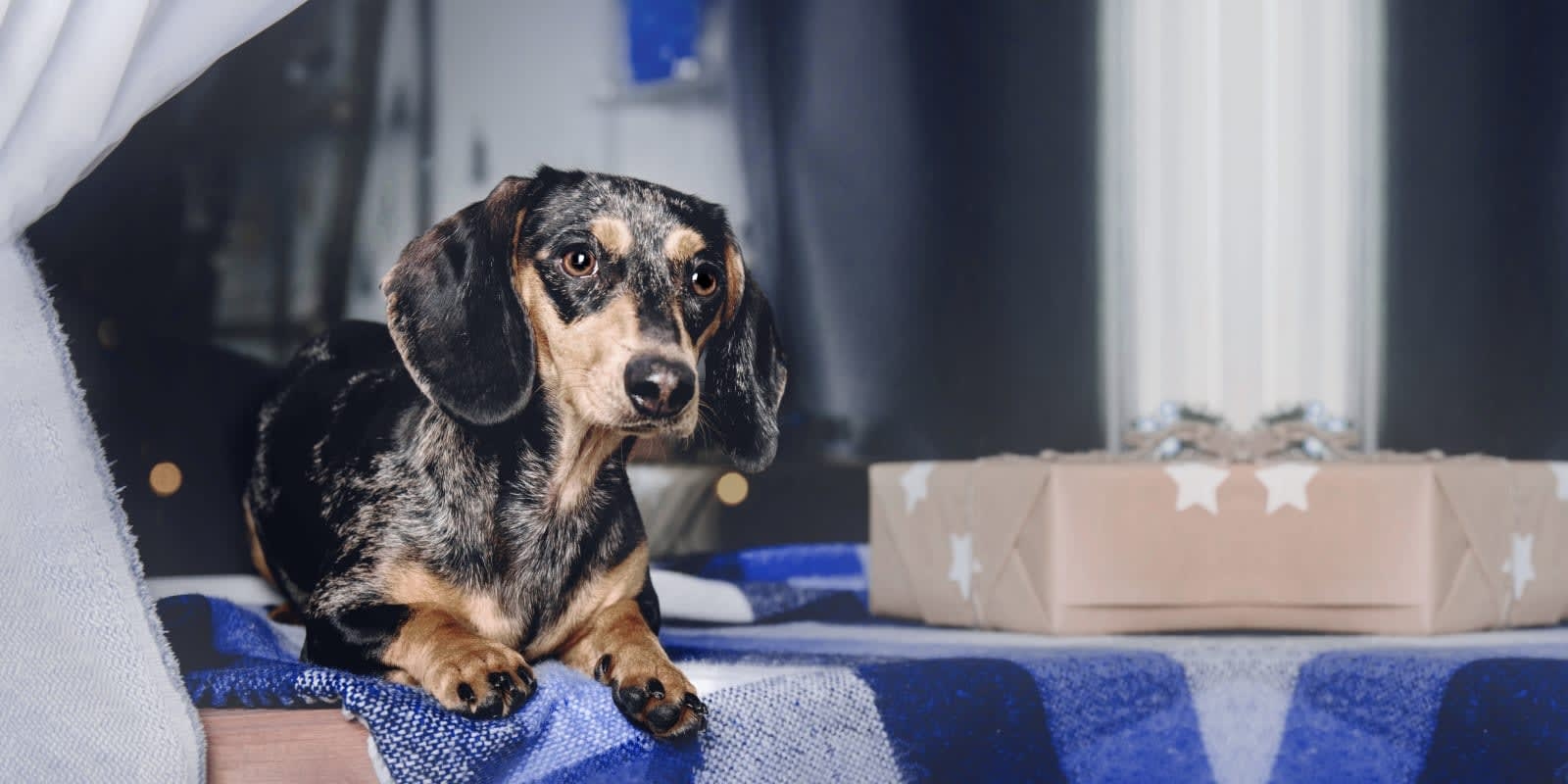 West Salem Animal Clinic Hero Image West Salem Animal Clinic Hero Image