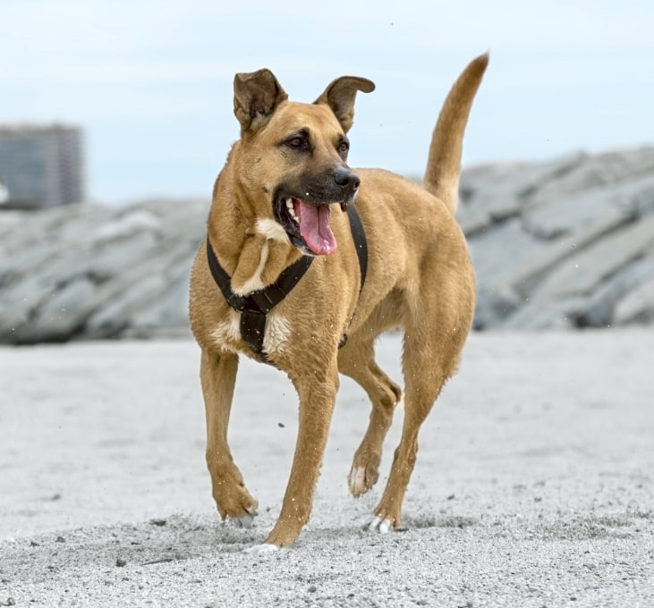 South Sacramento Pet Hospital Hero Image South Sacramento Pet Hospital Hero Image