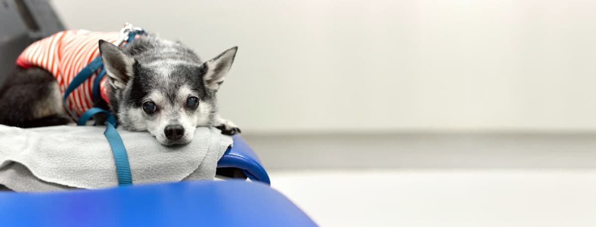 Michael Nicholoff Michael Nicholoff