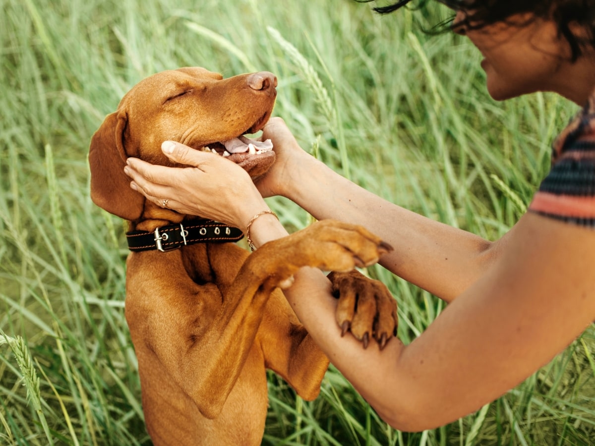 East Bay Veterinary Clinic Hero Image East Bay Veterinary Clinic Hero Image