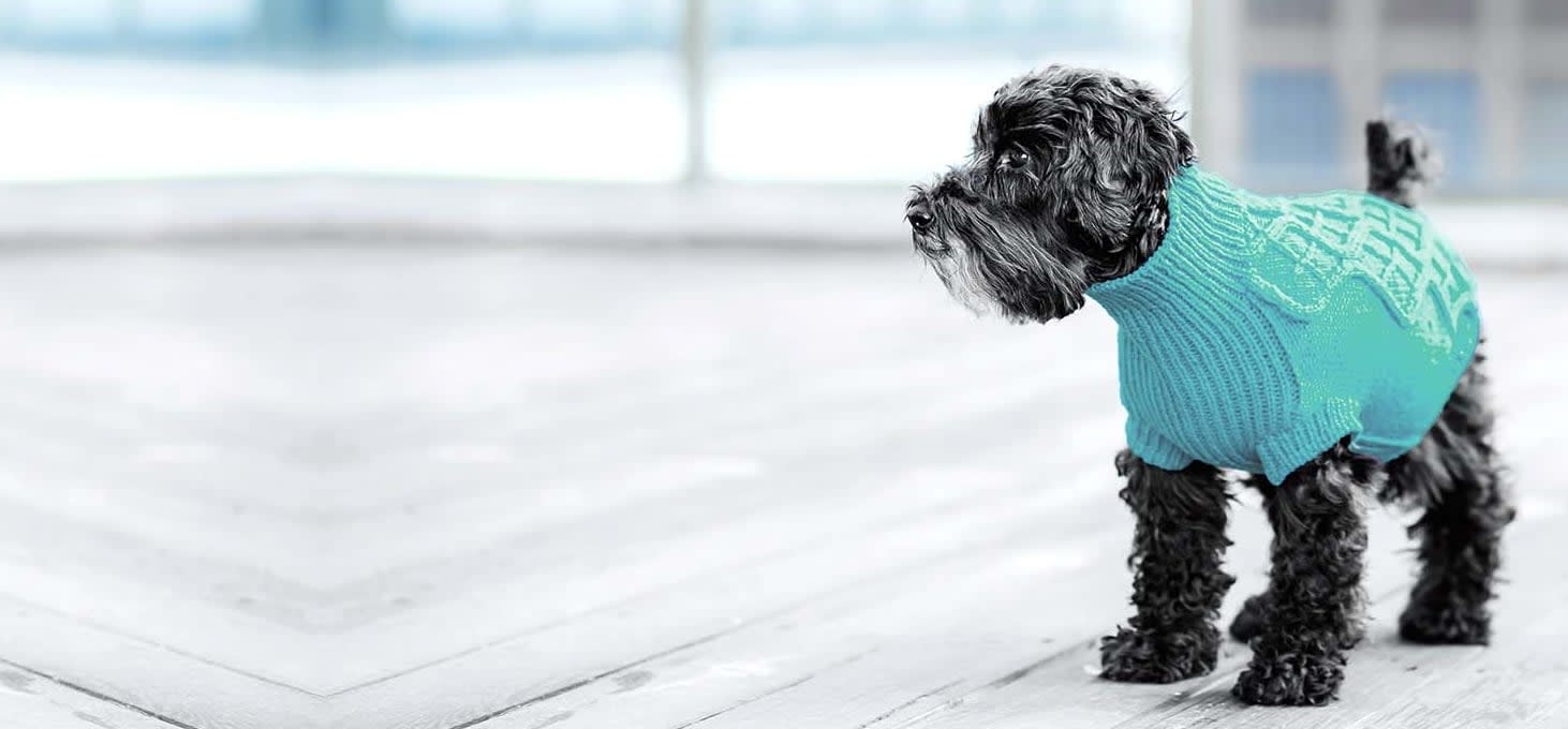 Barton Heights Veterinary Hospital Hero Image Barton Heights Veterinary Hospital Hero Image