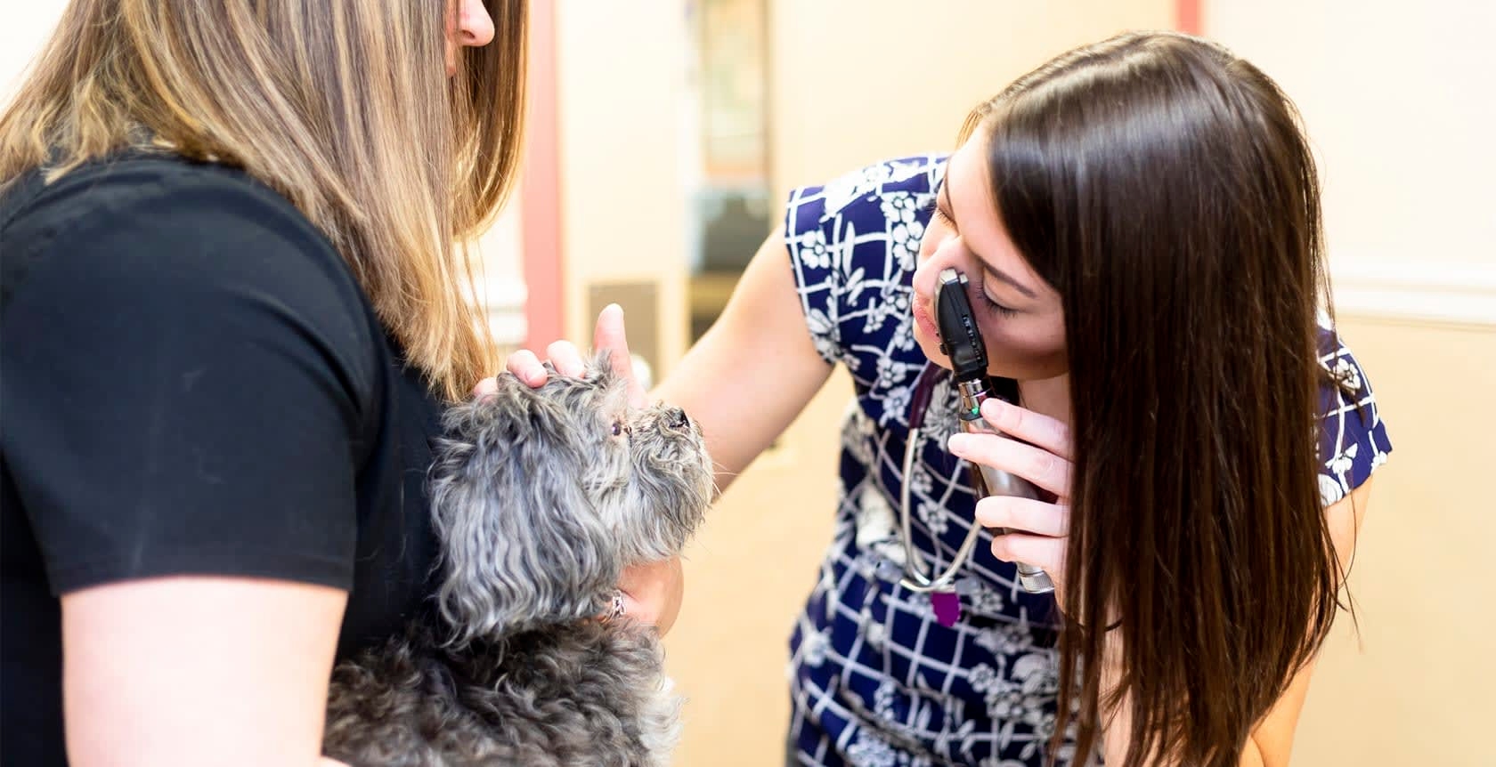 Friendly Animal Clinic Hero Image Friendly Animal Clinic Hero Image