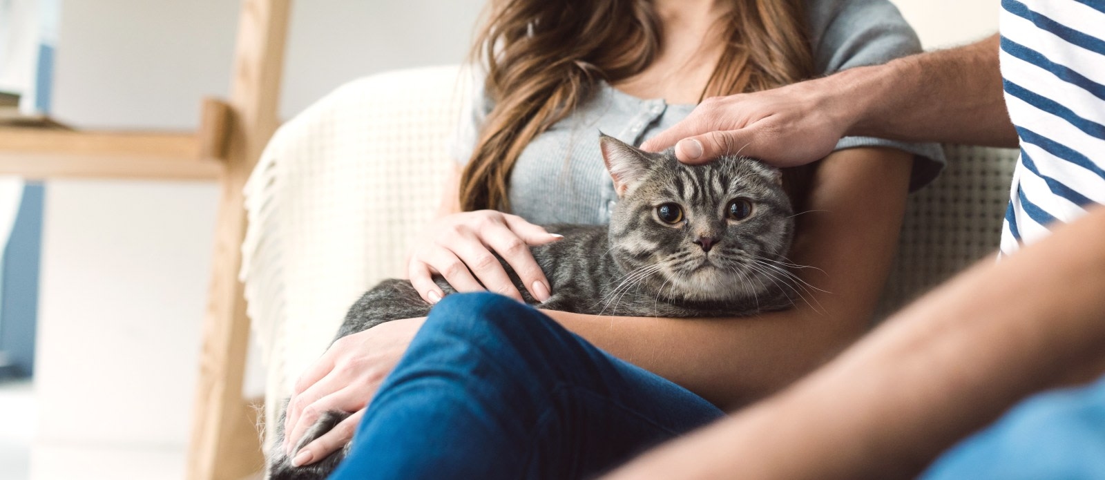 Companion Pet Clinic of Gold Canyon Hero Image Companion Pet Clinic of Gold Canyon Hero Image