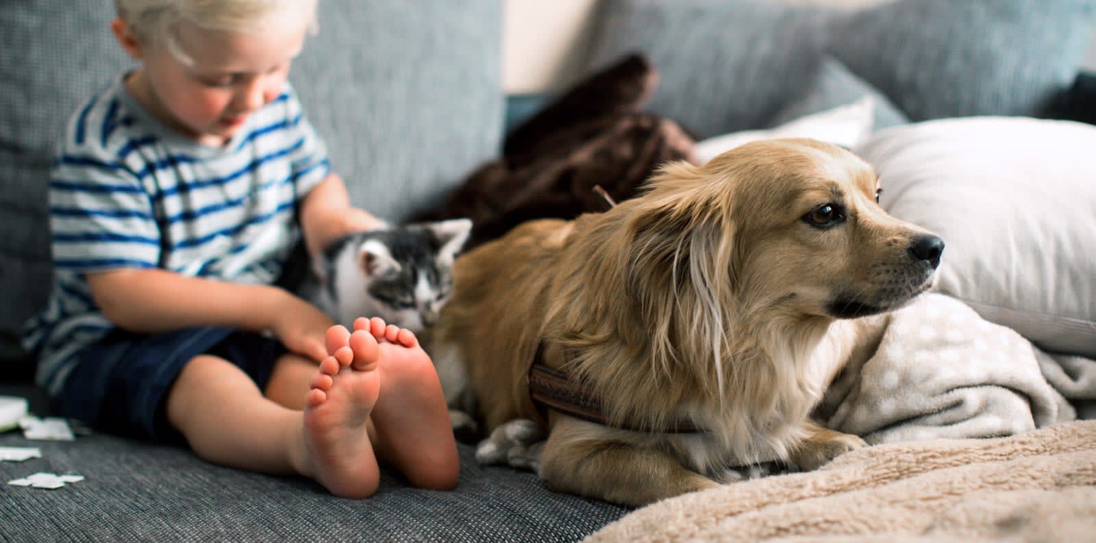 Aptos-Creekside Pet Hospital Hero Image Aptos-Creekside Pet Hospital Hero Image