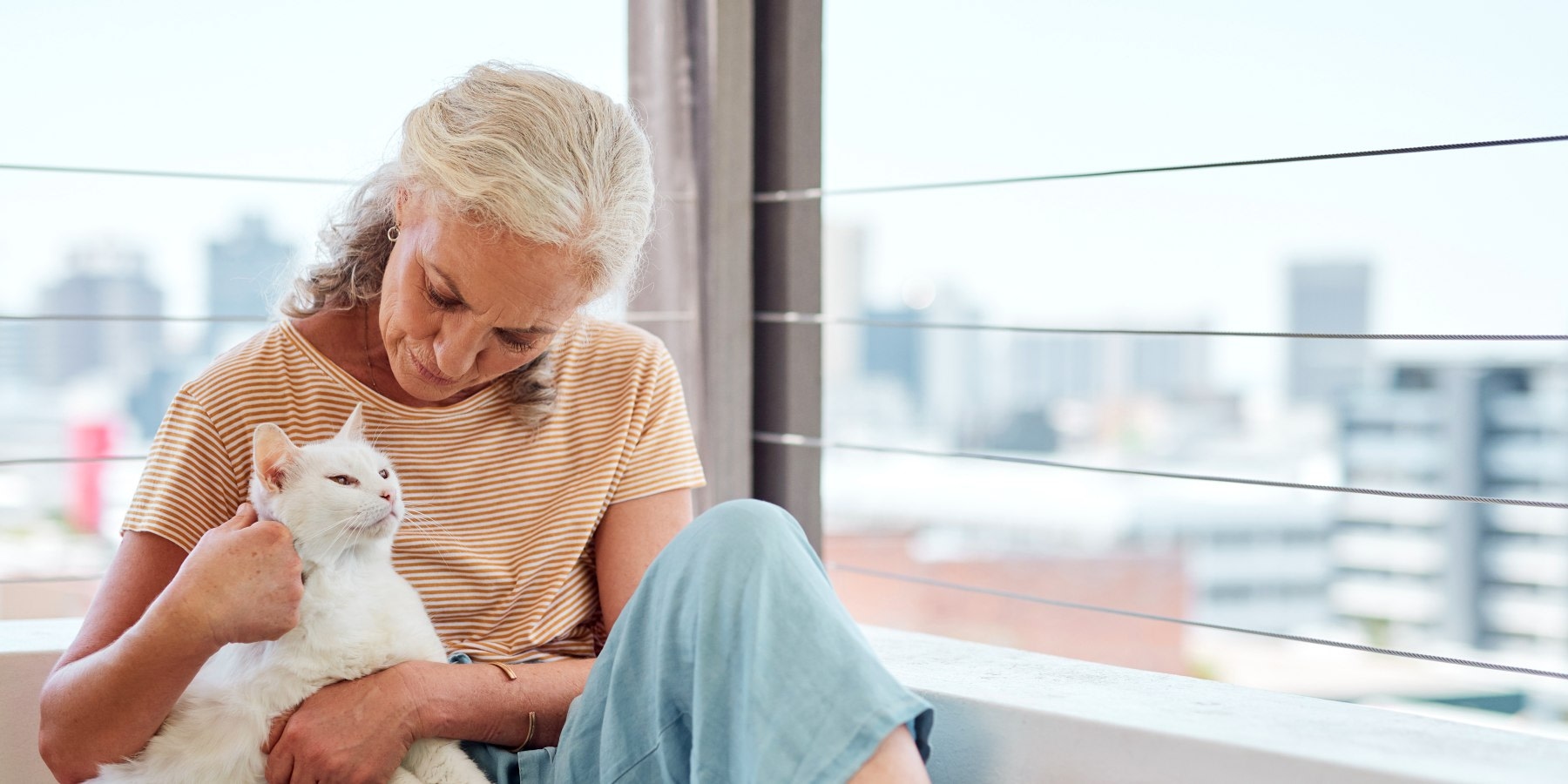 Veterinary Clinic in Carlsbad Hero Image Veterinary Clinic in Carlsbad Hero Image