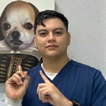 David Soto David Soto